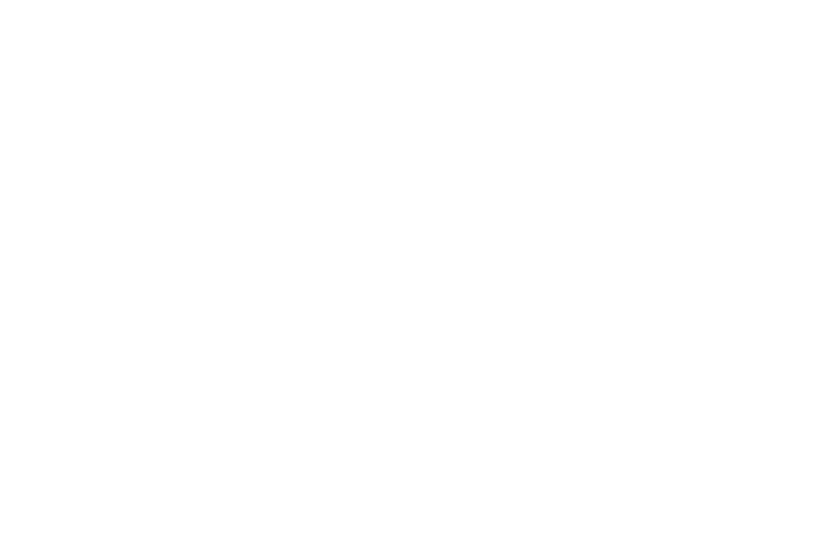 Imran Bukhari - Web Tech Services